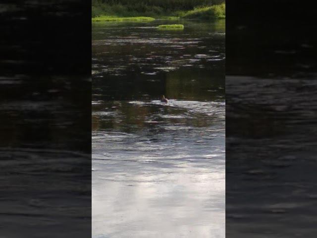 24 сентября 2022 г. смотреть онлайн