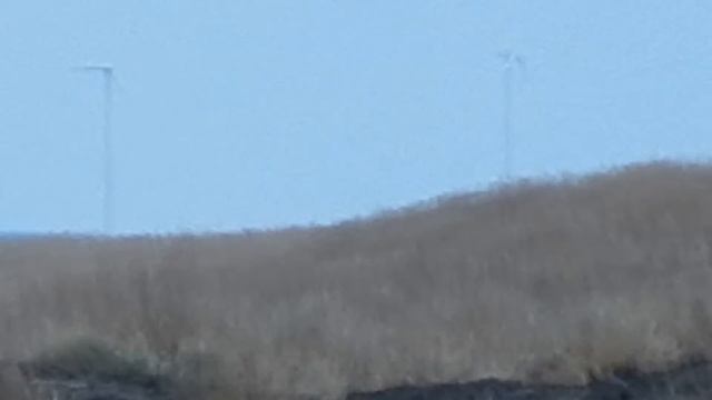 Nikon Coolpix L830 Zoom Test 2 смотреть онлайн