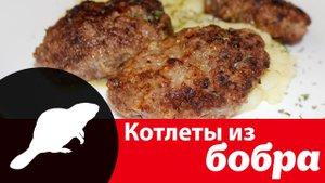 Как приготовить вкусные котлеты из мяса бобра — видео рецепт простого полезного блюда из бобрятины