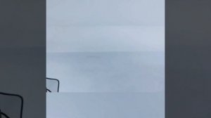 Весенняя охота на гуся в Якутии 2019г. Колыма