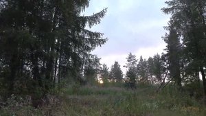 Экскурсия по Нижнему Тагилу