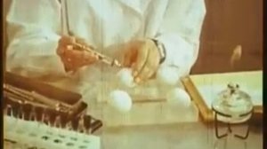 Дезинфекция животноводческих помещений