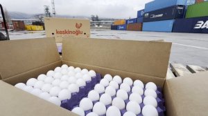 Россельхознадзор проконтролировал ввоз яиц из Турции, впервые поступивших в порт Новороссийска