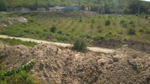 АНАПА ? СТАРЫЙ ВИНОГРАДНИК, собираем виноград в Варваровской щели // 1 сентября 2018 года