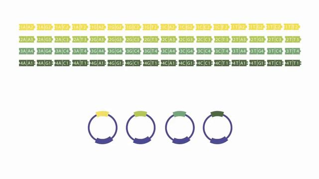 Synthesis of TALE genes using ligation-independent cloning (LIC) смотреть онлайн