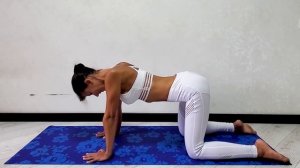 Упражнение Кошка. Развиваем гибкий позвоночник.