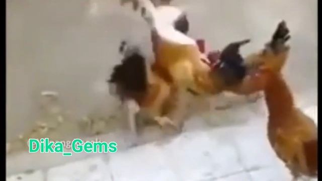 Remaja di perkosa belasan pria | sedang viral sob смотреть онлайн