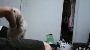 Dog Humping Retard (DJ) !~ GRAPHIC CONTENT~!