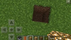 Как видеть сквозь стены Minecraft PE