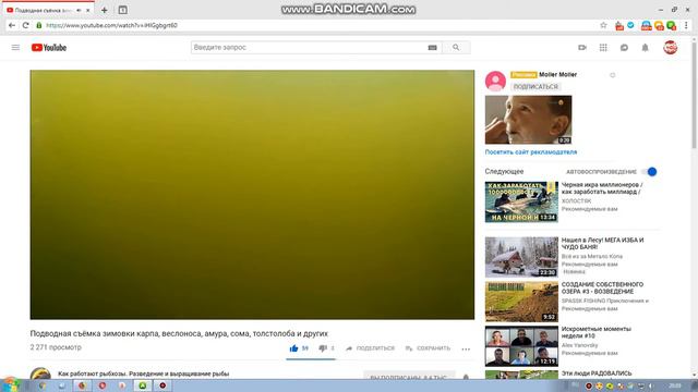 КАНАЛ  Как работают рыбхозы. Разведение и выращивание рыбы