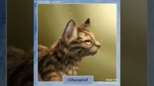 Коты-Воители имена часть 1