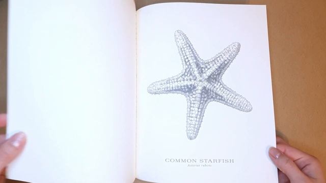 Обзор винтажной раскраски The Art of Nature coloring book смотреть онлайн