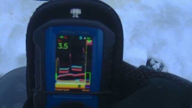 МОТОСОБАКА НЕВА MC1-ZS ЭХОЛОТ ПРАКТИК 8 смотреть онлайн