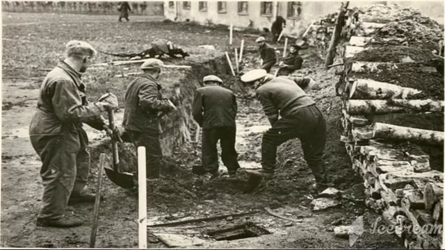 Читаем детям о войне. С. Алексеев "Огородники".