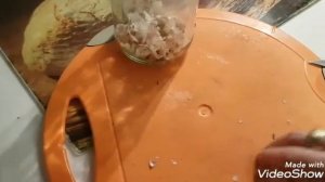 Эффективно боремся со щитовкой без химии.#щитовка
