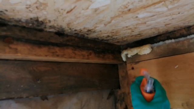 Опасная древесина! Обработка! смотреть онлайн