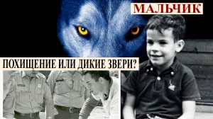 Деннис Мартин - пропал за мгновенье. Судьба неизвестна