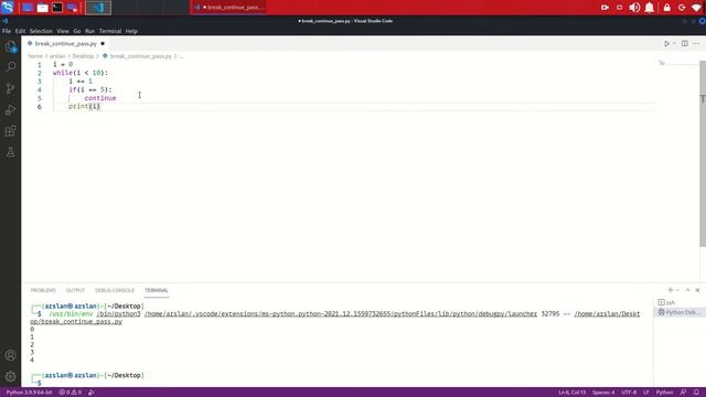 Break/Continue/Pass смотреть онлайн