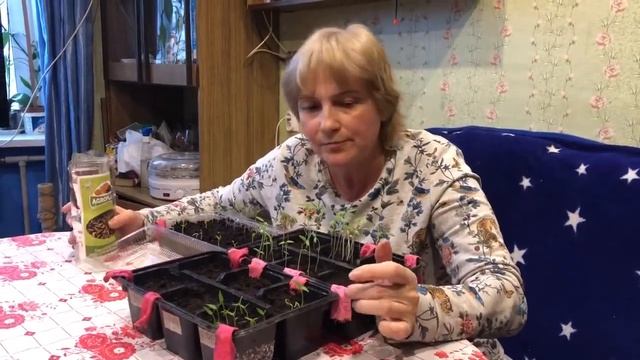 AGROPLANT   Комплексное гранулированное биоудобрение