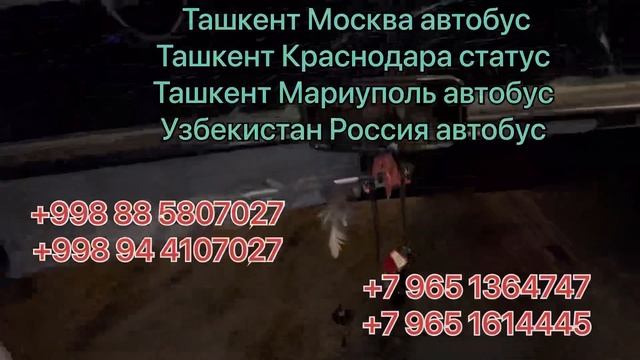 Ташкент Новосибирск автобус Новосибирск Ташкент автобус Узбекистан Россия микроавтобус ￼