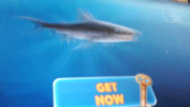 Злые Акулы-1серия (2смерти) смотреть онлайн