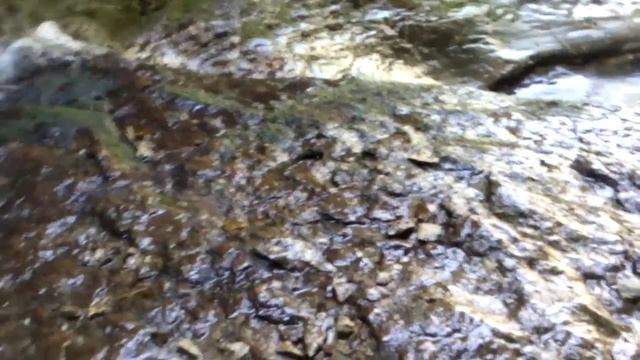 Водопад в темном ущелье, Гинта смотреть онлайн