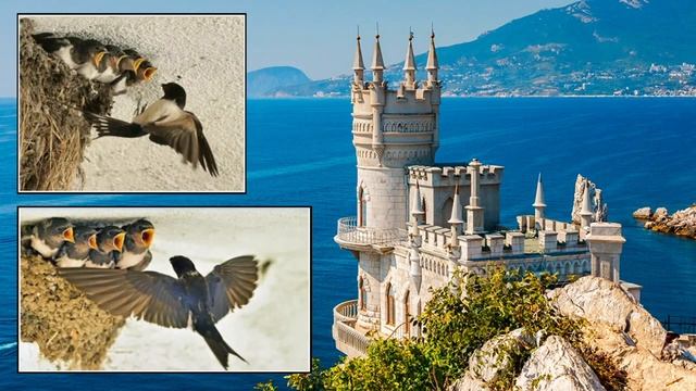 Тайны Наших Цифр Часть 02 смотреть онлайн