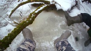 Рыбалка на р.Судость.Часть 2.