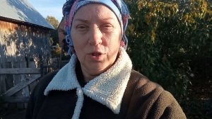 Собрали шиповник и баярышник.