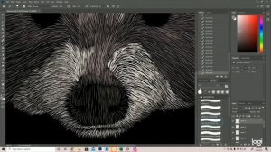 How to Draw a Raccoon