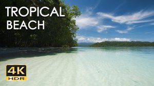 Тропический пляж - Нежные звуки океанских волн - Мирный дикий остров - Расслабляющее видео природы