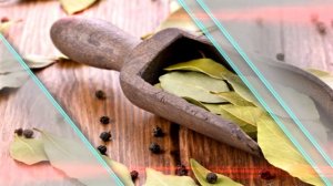 Зачем надо поджигать лавровый лист в вашем доме? Вы будете удивлены!