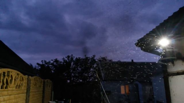 Комары звонцы смотреть онлайн