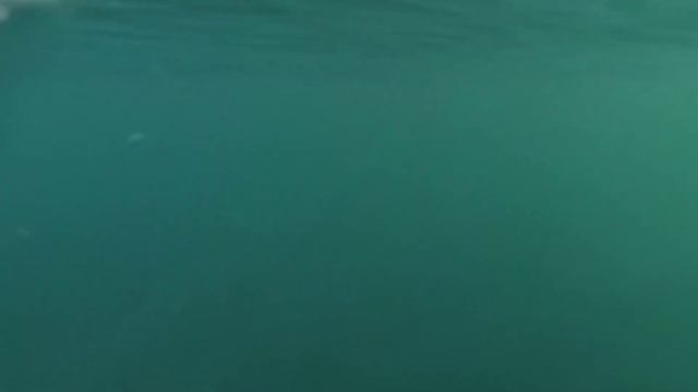 Морская прогулка на каяках. мыс Меганом. Крым