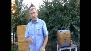 Закорм пчел в зиму