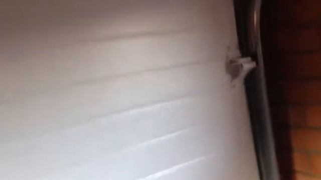 Секционные ворота DoorHan  ручное открывание (umdom123.ru)