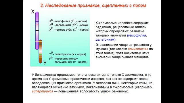 Генетика пола смотреть онлайн