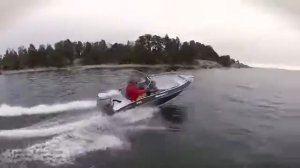Silver Fox 485 BR