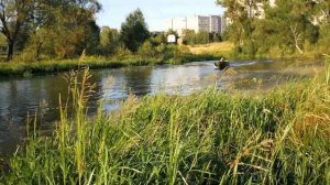 Кайман 300 и ветерок 12