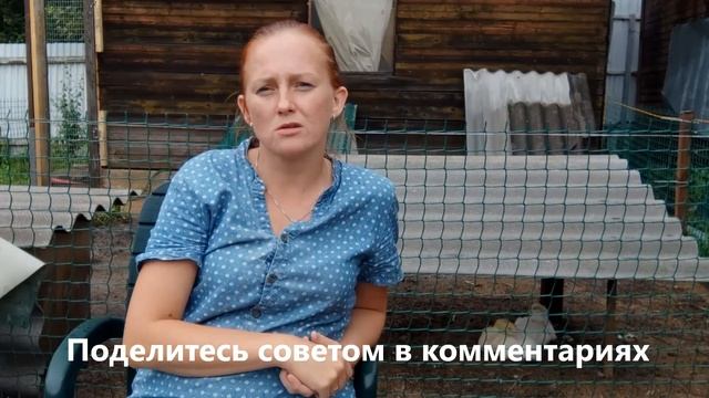 Болезни уток, причины смерти/падежа утят. Ошибки начинающих птицеводов на собственном примере