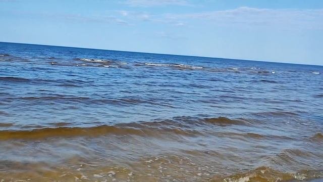 НАЧАЛОСЬ ! ТАКОЕ ТОЛЬКО В ЛАТВИИ МОЖНО УВИДЕТЬ ! ПРОСТО НЕТ СЛОВ! #латвия  ЭТО СТОИТ ПОСМОТРЕТЬ!