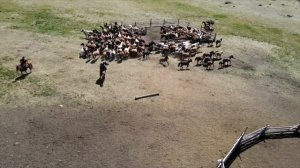 Лошадь - верный друг кочевника