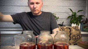 Сливовая ратафия Вариант #2