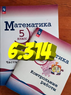 математика 5 класс номер 6.314