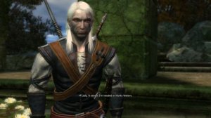 The Witcher: Enhanced Edition Director's Cut The paths of destiny