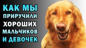 Как люди приручили собак