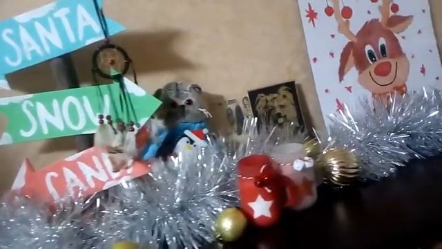 НОВОГОДНИЙ ДЕКОР | ДЕКОР 2021 | ДЕКОР КОМНАТЫ | НОВОГОДНЯЯ АТМОСФЕРА|КАК ПРИКЛЕИТЬ ГИРЛЯНДУ НА ОКНО смотреть онлайн