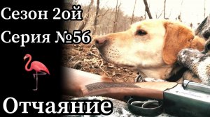 Мои охотничьи будни. Февраль. Олени. Гуси.