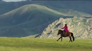 красивое и завораживающее видео с лошадьми