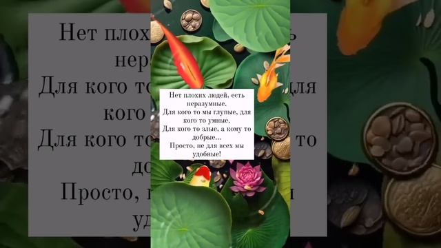 #поэзия #поэзиядуши #стихи #стихисосмыслом #творчество #люди #почитать #чтение #жизнь